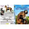 Fire of Youth [DVD]