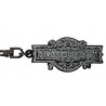 ABYstyle Game of Thrones Keychain Opening Logo (Multicolor)