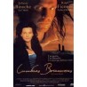 CUMBRES BORRASCOSAS DVD