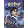 Harry Potter y la Piedra Filosofal [DVD]